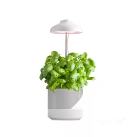 LED növénynevelő lámpa LED VERDI 5W 3200K Kobi Design