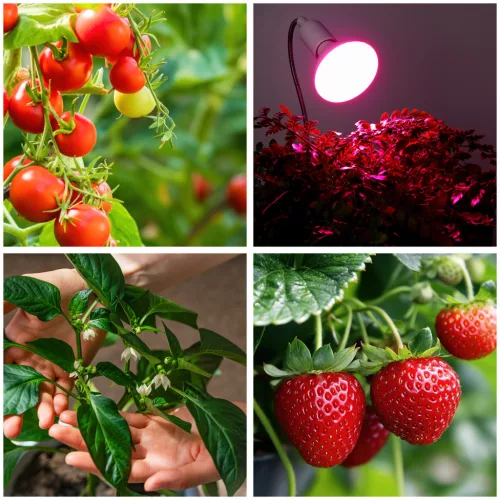LED növénynevelő lámpa LED KOBI PLANTY CLIP W 1xE27 White Kobi Design