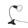 LED növénynevelő lámpa LED PLANTY CLIP B 1xE27 Black Kobi Design