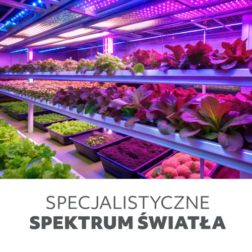 LED növénynevelő lámpa LED PLANTY E27 40W Kobi Design
