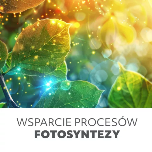 LED növénynevelő lámpa LED PLANTY E27 40W Kobi Design