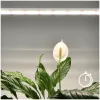 LED növénynevelő lámpa LED GROWLY 15W – Kobi Design