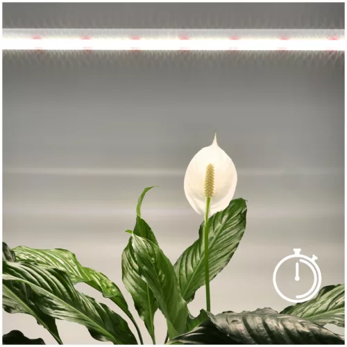 LED növénynevelő lámpa LED GROWLY 15W – Kobi Design