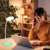 Table lamp LED VISUA DESK 5W Mint LED2B