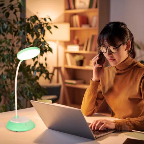 Table lamp LED VISUA DESK 5W Mint LED2B
