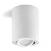 Downlight OH36L white Kobi