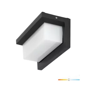 Garden wall lamp LED LENTERO 12W 4000K LX IP54 black LED2B