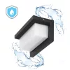 Garden wall lamp LED LENTERO 12W 4000K LX IP54 black LED2B