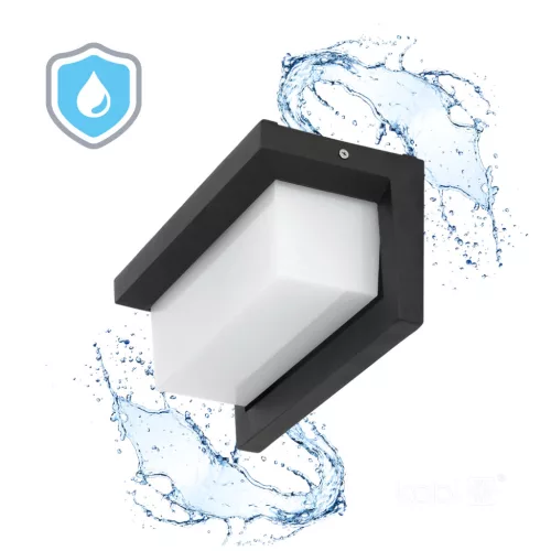 Garden wall lamp LED LENTERO 12W 4000K LX IP54 black LED2B