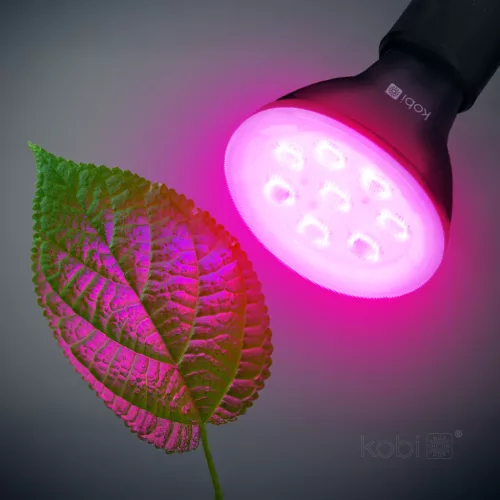 E27 Növénynevelő LED-fényforrás, 7 W, Meleg fehér