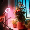LED növénynevelő lámpa LED VITARO RING 2 csiptetős 8W – Kobi Design