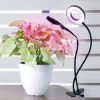 LED növénynevelő lámpa LED VITARO RING 2 csiptetős 8W – Kobi Design
