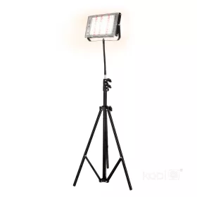   LED-reflektor, 180°, IP65, 45 W, Természetes fehér, fekete
