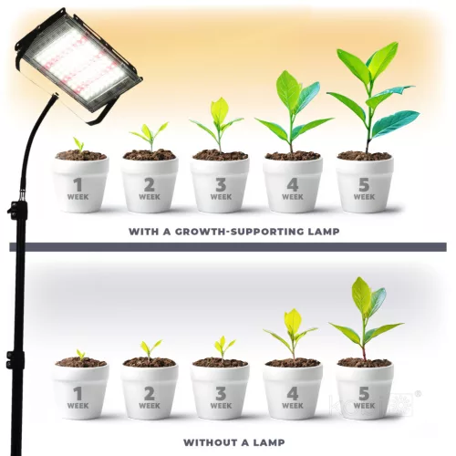  LED-reflektor, 180°, IP65, 45 W, Természetes fehér, fekete