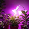 LED növénynevelő lámpa LED PLANTY CLIP W DUO 1xE27 white Kobi Design