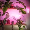 LED növénynevelő lámpa LED PLANTY CLIP W DUO 1xE27 white Kobi Design