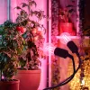 LED növénynevelő lámpa LED PLANTY CLIP W DUO 1xE27 black Kobi Design