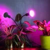 LED növénynevelő lámpa LED PLANTY CLIP W DUO 1xE27 black Kobi Design