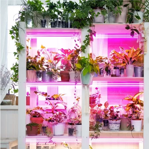 LED növénynevelő lámpa LED GROWLY 2×8,5W – Kobi Design
