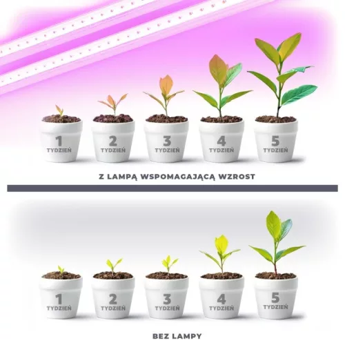 LED növénynevelő lámpa LED GROWLY 2×8,5W – Kobi Design