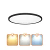 Ceiling lamp LED NIVERA CIRCLE 32W 3CCT IP54 black Kobi Premium