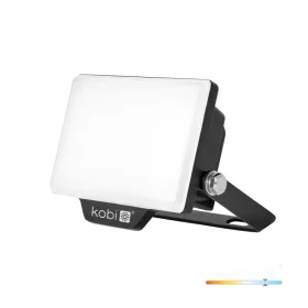   DELYO MHN LED-reflektor, 110°, IP65, 10 W, Hideg fehér, fekete