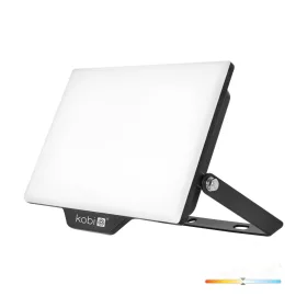   DELYO MHN LED-reflektor, 110°, IP65, 50 W, Természetes fehér, fekete