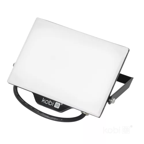 DELYO MHN LED-reflektor, 110°, IP65, 50 W, Természetes fehér, fekete