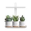 LED növénynevelő lámpa LED BLOOM 12W 4500K Kobi Design
