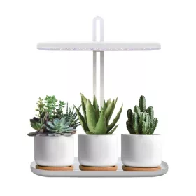LED növénynevelő lámpa LED BLOOM 12W 4500K Kobi Design