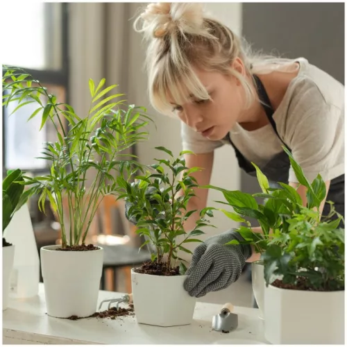 LED növénynevelő lámpa LED BLOOM 12W 4500K Kobi Design