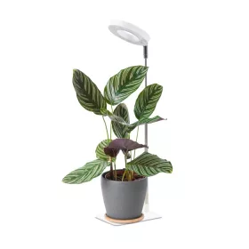   LED növénynevelő lámpa LED VERDI V2 5W 1300K white Kobi Design fehér