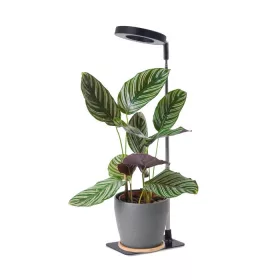   LED növénynevelő lámpa LED VERDI V2 5W 1300K Kobi Design fekete
