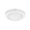 Ceiling lamp LED SIGARO CIRCLE 24W 3CCT Kobi Premium