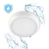 Ceiling lamp LED DEFENDER G2 12-18-24W 3CCT IP65 Kobi Pro