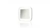 Bulkhead LED VIKA 15W Neutral