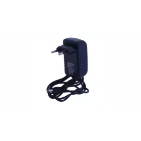 24W 12V DC 2.1x5.5 IP20 plug-in power adapter