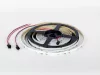 LED strip 784 COB 24V RGBW 4000K 21W IP66 DIGITAL SPI WS2814 10mm 5m 350lm/m PRIME