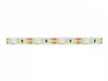 [OUTLET] LEDline® strip 600 SMD 12V yellow 9,6 W/m - kiszerelés (5 méter)