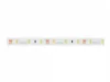 [OUTLET] LEDline® strip 300 SMD 12V yellow 4,8 W/m IP67 - kiszerelés (5 méter)