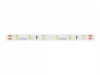 LEDline® strip 300 SMD 24V 6500K 4,8 W/m - tekercs (30 méter)