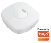 MERRYTEK on/off 120/277Vac, TUYA ZigBee, surface-mounted