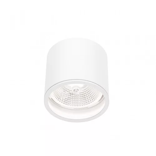 CHLOE AR111 GU10 IP65 round white