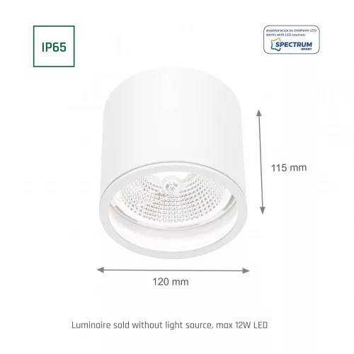 CHLOE AR111 GU10 IP65 round white
