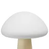 Rechargeable Mushroom LED Table Lamp VIDEX VL-TF25BG 3000-6500K + RGB