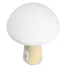 Rechargeable Mushroom LED Table Lamp VIDEX VL-TF25BG 3000-6500K + RGB