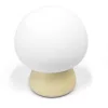 Rechargeable Mushroom LED Table Lamp VIDEX VL-TF26BG 3000-6500K + RGB