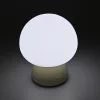 Rechargeable Mushroom LED Table Lamp VIDEX VL-TF26BG 3000-6500K + RGB