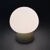 Rechargeable Mushroom LED Table Lamp VIDEX VL-TF26BG 3000-6500K + RGB