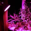 LED Plant Grow Bulb VIDEX-E27-A60-8W-FITO